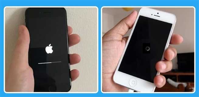 Не включается айфон 5s что делать и как исправить неполадку | a-apple.ru