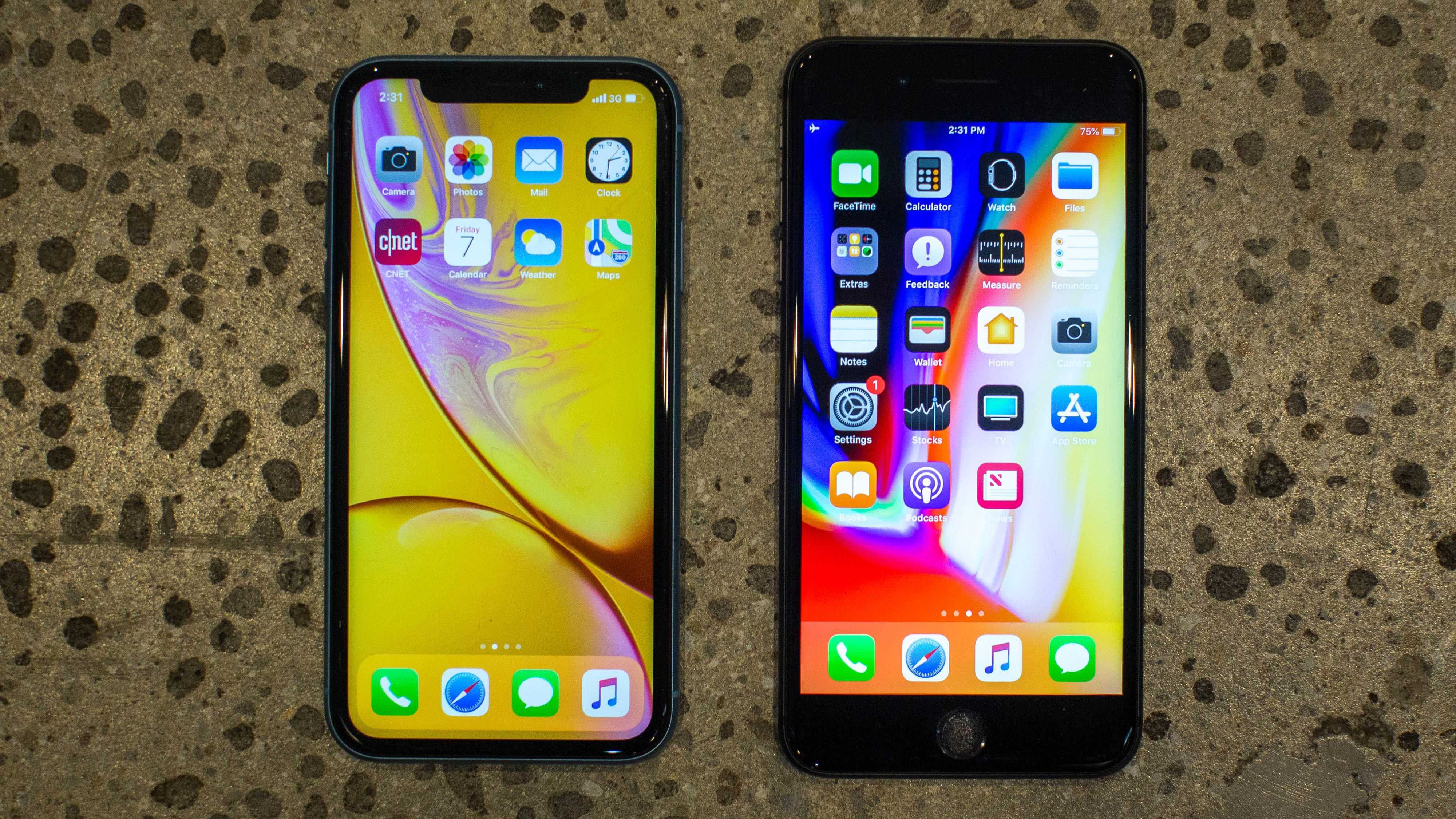 Обзор iphone 8 plus – сравнение устройства с iphone 7 plus