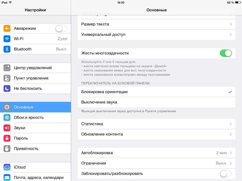 Ограничения iphone. Автоповорот экрана айпад. Настройка звука на айпаде. Настройки IPAD. IPAD меню настроек.