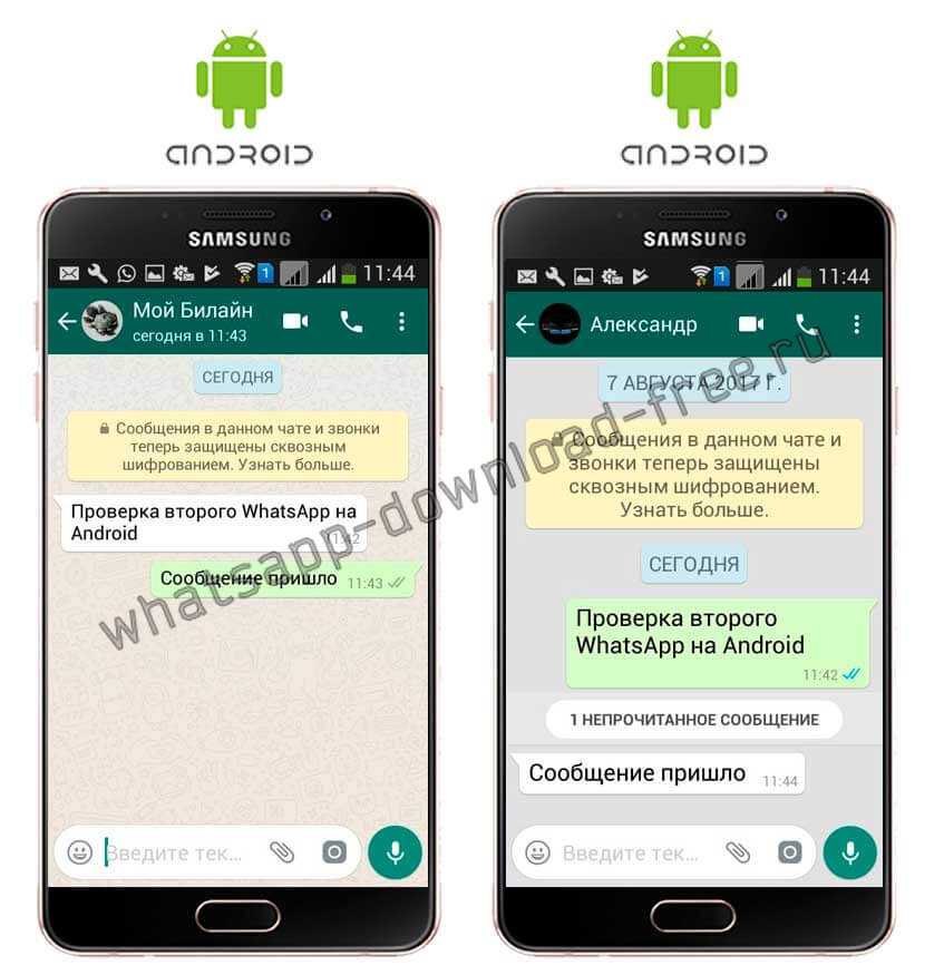 Whatsapp на другом телефоне. Номера в ватсапе. Уведомление в ватсапе на два номера. Номер у которого есть вацап. Ватсап на два номера телефона.