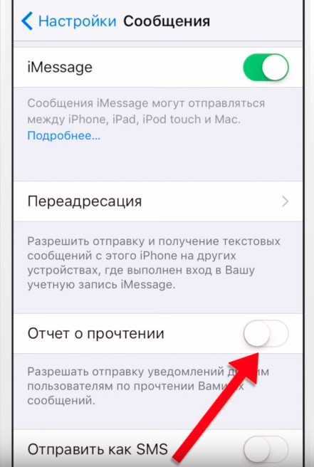 Что значит функция не беспокоить в whatsapp
