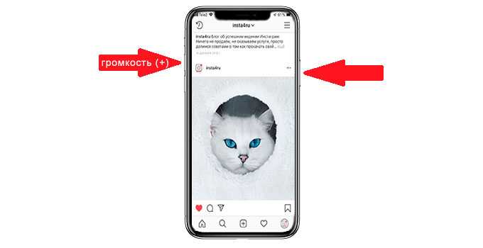 Как делать скриншоты без использования кнопок на iphone